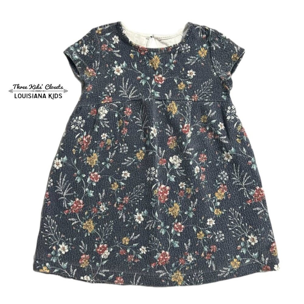 Zara 3-4Y Navy Floral Print Dress